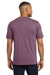 Next Level NL6200/6200 Mens Jersey Short Sleeve Crewneck T-Shirt Shiraz Model Back