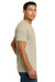 Next Level NL6210/N6210/6210 Mens CVC Jersey Short Sleeve Crewneck T-Shirt Cream Model Side