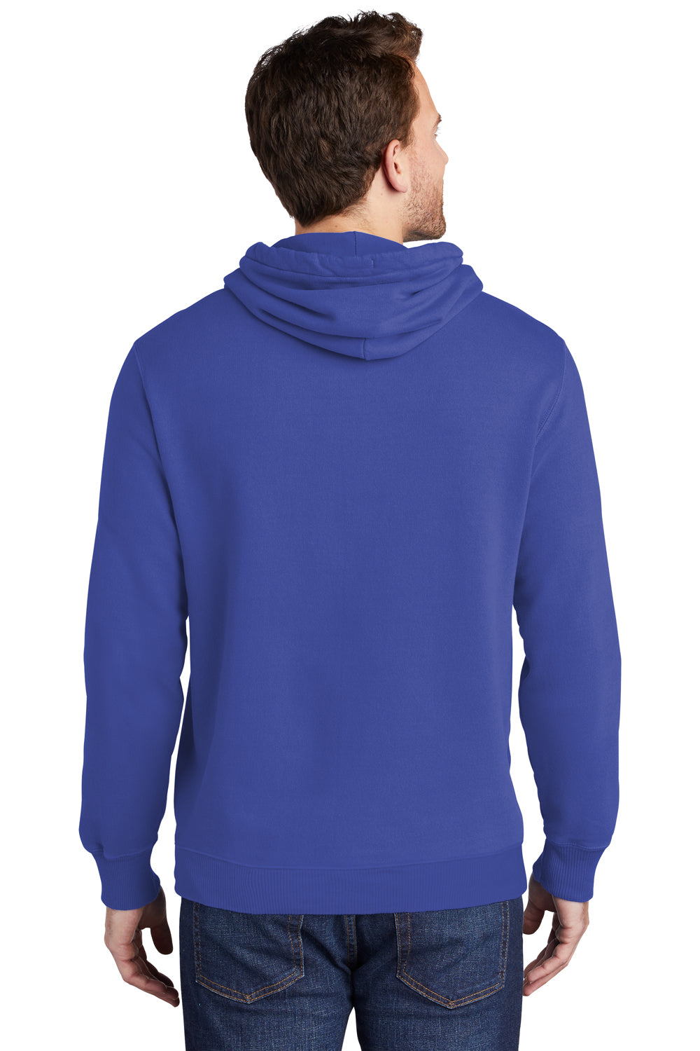 Port & Company PC098H Mens Beach Wash Fleece Hooded Sweatshirt Hoodie Iris Blue Model Back