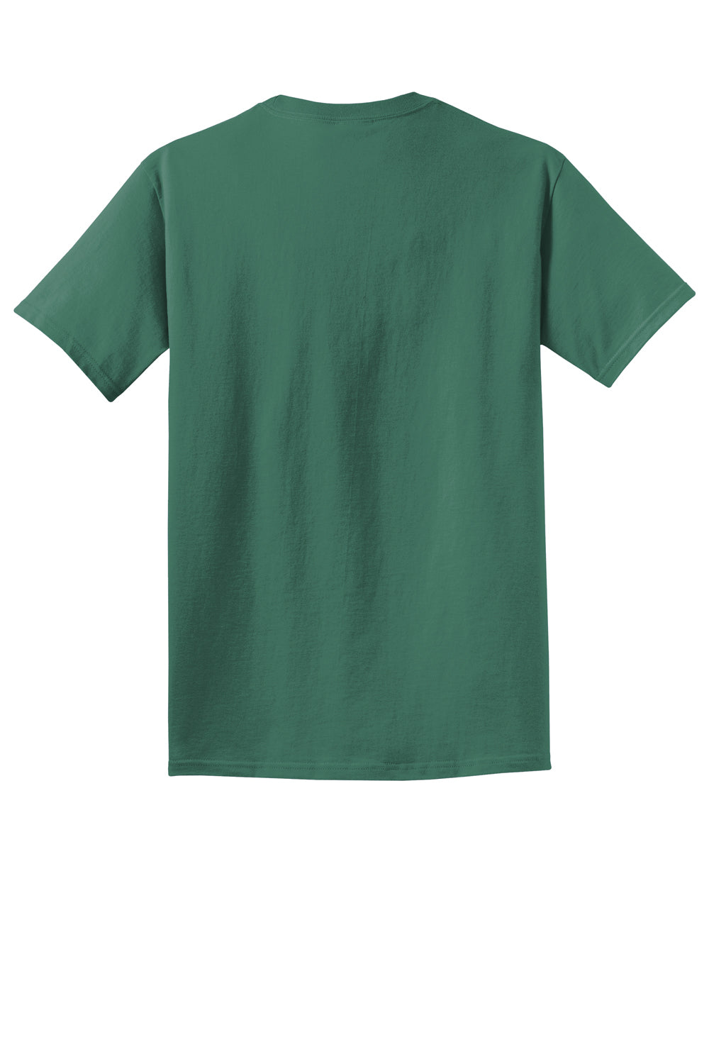 Port & Company PC099 Mens Beach Wash Short Sleeve Crewneck T-Shirt Nordic Green Flat Back