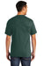 Port & Company PC55P/PC55PT Mens Core Short Sleeve Crewneck T-Shirt w/ Pocket Dark Green Model Back