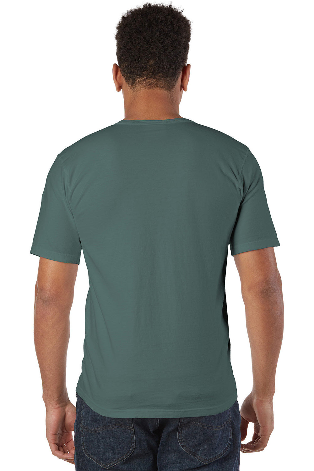 Champion CD100 Mens Garment Dyed Short Sleeve Crewneck T-Shirt Cactus Green Model Back