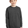 Port & Company Youth Core Long Sleeve Crewneck T-Shirt - Heather Dark Grey