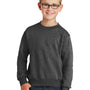 Port & Company Youth Core Pill Resistant Fleece Crewneck Sweatshirt - Heather Dark Grey