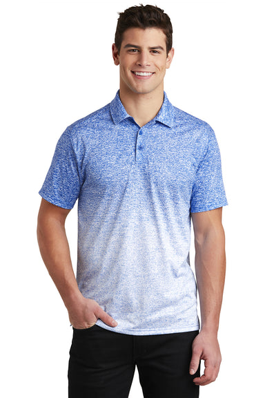 Sport-Tek ST671 Mens Ombre Heather Moisture Wicking Short Sleeve Polo Shirt White/True Royal Blue Model Front