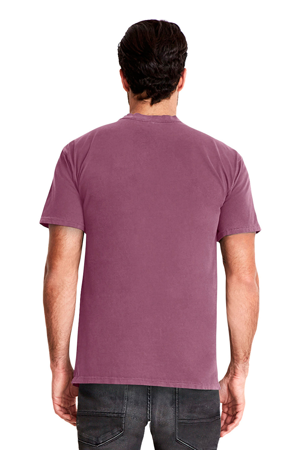 Next Level 7410 Mens Inspired Dye Jersey Short Sleeve Crewneck T-Shirt Shiraz Purple Back